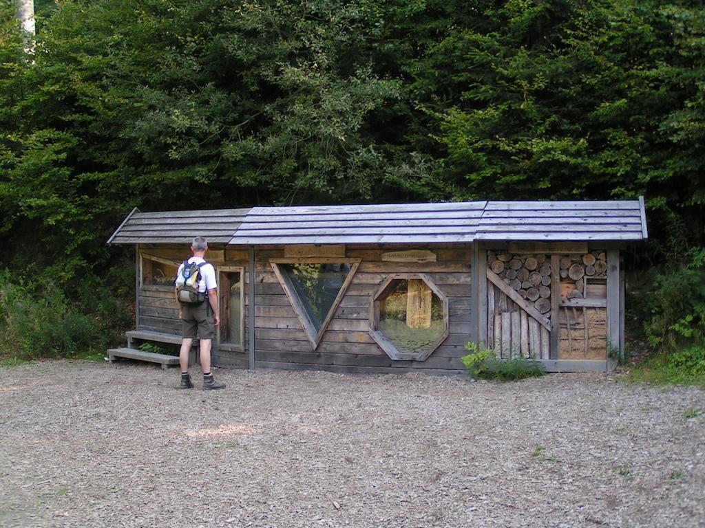 Bed And Breakfast Isidorus Winterberg Bagian luar foto