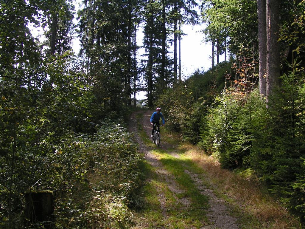 Bed And Breakfast Isidorus Winterberg Bagian luar foto